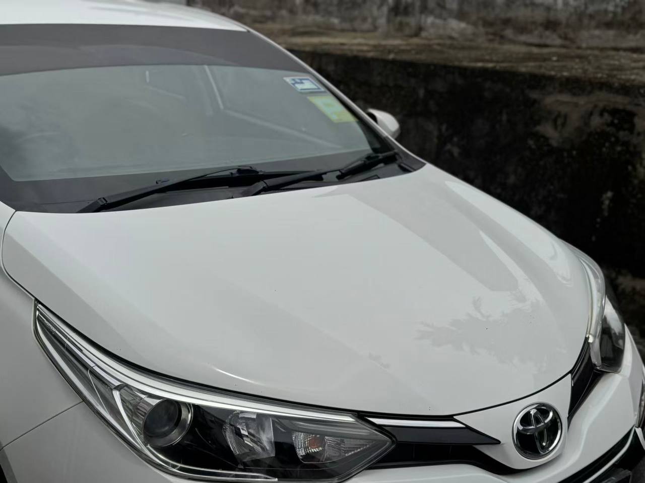 2019 Toyota Vios 1.5G Auto 车辆照片 3